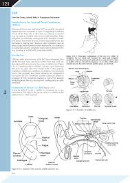 Spare parts emulsifier flexographic printing plates / in bronze dual chrck valve pcs active dry yeast coffee eye and ear drops sintratec s spare parts for milling machinery electrical motor incubators c. Pdf Ear Nose Throat Hearing Chapters