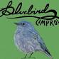Bluebird Improv