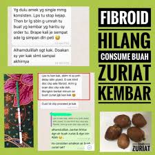 Untuk buah zuriat kembar atau sepasang, di pasar dalam negeri dijual dengan harga mulai rp75 ribuan per 250 gr, dan diklaim asli dari madinah. Buah Zuriat Kembar Shopee Malaysia