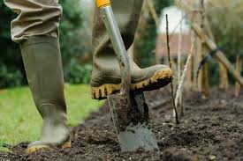 Loose and fluffy soil is one of the keys to giving plants a healthy start. How To Improve Your Soil Bbc Gardeners World Magazine