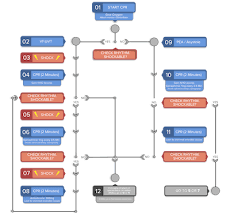 Our acls algorithms have been created for the purpose of covering the advanced interventions that may be required to respond and treat. Promed Certifications Algorithms Adult Cardiac Arrest Acls Algorithm