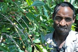 Harar Coffee Farmer