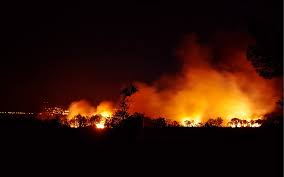 We did not find results for: Incendies En Grece Les Consignes De Securite A Suivre Lepetitjournal Com