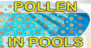 Green and cloudy pool water can be signed to water quality issues in your pool. Pollen Problems Remove Pollen From Pools Intheswim Pool Blog