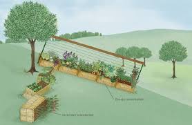 Résultat de recherche d'images pour "straw bale garden"