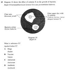 Nilu, meroyan, melaram, undikol, belasah, tawakal, sukaneka. Sains Spm 2016 Quiz Quizizz
