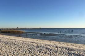 Check spelling or type a new query. Mississippi Closes Beaches Because Of Toxic Algae Blooms The New York Times