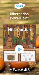 Hibernation Powerpoint Powerpoint Which Animals Hibernate Animals That Hibernate