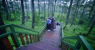 Dari hari biasa, weekend dan liburan panjang, pasti mereka akan mengunjungi bandung termasuk anda? Keren Pengunjung Wisata Bandung Orchid Forest Dapat Berkreasi Tanpa Khawatir Ancaman Covid 19 Jpnn Com