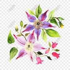 Hand Painted Watercolor Magnolia Flower Illustration Png Image Picture Free Download 611490967 Lovepik Com Gentle touch watercolor floral wreath with magnolia flower and leaves. hand painted watercolor magnolia flower