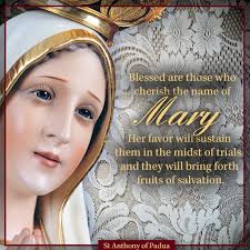 America Needs Fatima