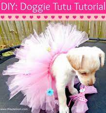 Share Tweet Pin Mail Make Your Pet Their Very Own Tutu I Never Thought In A Million Years I Would Be A Pet Parent Dogsdiyclothes Kopek