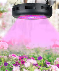 Innovative light guide technology by schott. Best Cob Led Grow Lights In 2021 Buyer S Guide Overeview