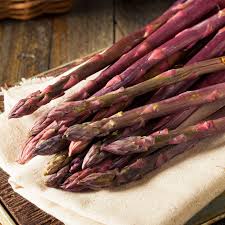 Image result for Asparagus psilurus