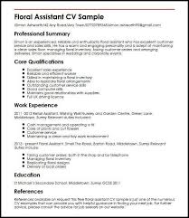 Cv Template Job Centre 1 Cv Template Sample Resume Cv Examples Cv Template Uk Good Cv