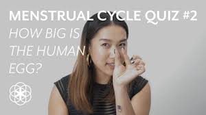 Maybe you would like to learn more about one of these? How Big Is The Human Egg Clue S Menstrual Cycle Quiz