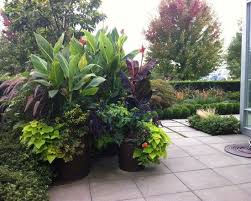 Tropical Landscape Design Ideas Pictures Remodel And Decor Tropical Landscaping Tropical Landscape Design Tropical Garden
