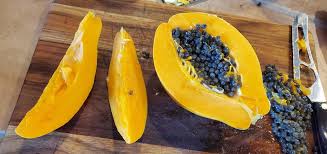 Image result for Carica papaya