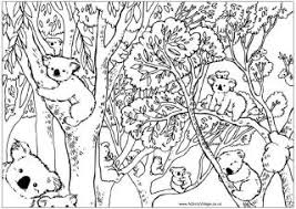 The set includes facts about parachutes, the statue of liberty, and more. Australia Day Colouring Pages