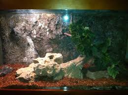 How To Make A Realistic 3d Background For Your Aquarium Or Reptile Tank Reptile Tank Aquarium Backgrounds Reptiles