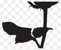 Old fashion silhouette clip art best images about find this pin and more 24kb 705x1226: Bush Clipart Silhouette Flower Beauty And The Beast Silhouette Png Download 4056148 Pinclipart