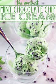 Mint Chocolate Chip Ice Cream Recipe Mint Chocolate Chip Ice Cream Chocolate Chip Ice Cream Mint Chocolate