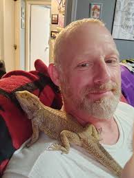 He really do be chillin' tho. (This is Dennis, our baby Indonesian frilled  dragon.)