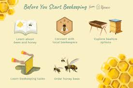 Still not sure about beehive industries? A Beginner S Guide To Beekeeping
