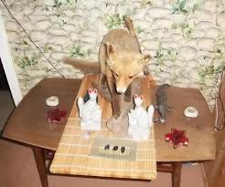 Mård / mink / iller. Religion Smirres Furrysida