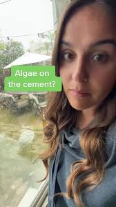 California Rain Activities: Exploring the Wet Season in CA