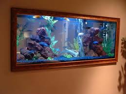 Pin By Sylvia Campbell On Fish Tanks Wall Aquarium Fish Tank Wall Aquarium Pictures