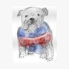 Western bulldogs wallpaper, widescreen desktop background with team logo, 1920×1200 px: Western Bulldogs Go Doggies Poster By Happybyname Redbubble