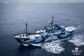 Das schiff steve irwin (imo: The Mv Steve Irwin Is Calling For Sea Shepherd Global Facebook