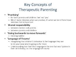 The national foster parent association describes foster parenting as a protective service to children and their families when families can no longer care for their children. issues like misuse of drugs and alcohol, poverty and a parent's. Parent Mentoring A Framework For Successful Therapeutic Parenting