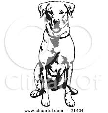 Dec 21, 2017 · the latest tweets from bleacher nation cubs (@bleachernation). Royalty Free Rf Labrador Clipart Illustrations Vector Graphics 1