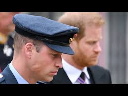 Speculation Prince Harry Will Meet With William During Upcoming UK Visit  [5e52fd]