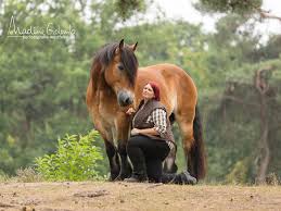 motionclick de sylvia czarnecki pferdetermine de clickertraining pferd positive verstarkung