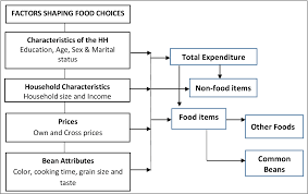 Quadratic Almost Ideal Demand System Quaids Estimation For Common Beans Demand In Dar Es Salaam Semantic Scholar