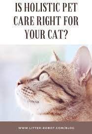.center (formerly known as the holistic houndry) is a pet food store that will help you optimize your pet's health, happiness, and longevity through our goals are to support pet parents with accurate nutritional education about pet food and wellness, to treat every animal with compassion, to make. Is Holistic Pet Care Right For Your Cat Litter Robot Blog