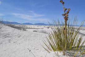 It ends in white sands, new mexico. Why Is The Sand White At The White Sands National Monument New Mexico News Port
