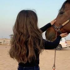 Pin On خيل