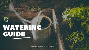 Modern nursery coupons and discount code. Glover Nursery Coupon
