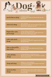 Dog Idioms With Definitions And Examples Work Like A Dog Sick As A Dog Fight Like Cats And Dogs Rain Cats And Dogs Idioms Idioms And Phrases English Vocab