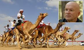 Why did we evolve this way? How Sydney Vet Alex Tinson Ditched His Job And Chose To Breed Racing Camels Daily Mail Online