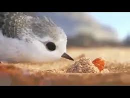 Perfect For Growth Mindset Watch A Bird Overcome Fear In Pixar S Heart Melting New Short Film Piper Youtube Pixar Shorts Disney Pixar Piper Pixar