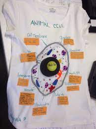 We did not find results for: Bsb Science On Twitter Great Cell Project From A Member Of Mrs Bousie S Year 7 Class A Strong Contender For Overall Winner Cobisorg Ks3science Https T Co Ni0xw8i8lb