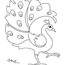It was all about birds and birdhouses this month! Simple Drawing Of Green Peacock Coloring Page Kids Play Color