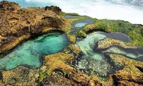 Namun, skor eti indonesia telah meningkat sebesar 6 persen sejak 2021, dengan skor tertinggi untuk peningkatan kesiapan transisi sebesar 10 persen, yang menandakan dukungan indonesia. Kalau Bawa Jeruk Di Pantai Ini Nyi Roro Kidul Murka Okezone Travel