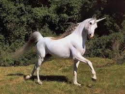Image result for male unicorn