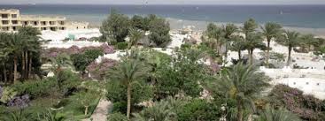 It's important to respect local customs, such as keeping shoulders covered and dressing modestly when visiting religious sites. Safaga In Agypten Windsurfen Kitesurfen Surfschulen Und Surfreisen Spotnetz De